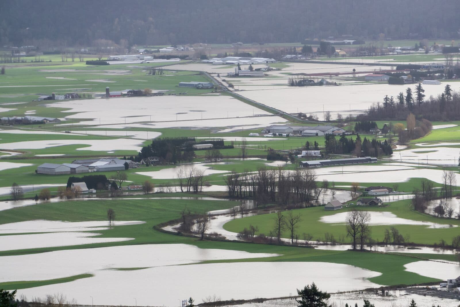 Devastating-Flood-Abbotsford.jpg