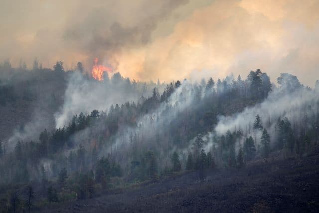 core-connections-fire-23.jpg